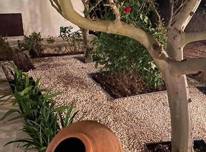 Droushia Corner House 別荘 Dhrousha