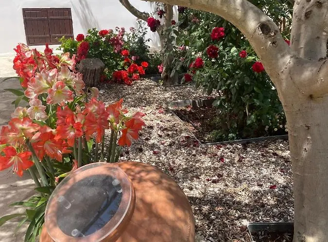 別荘 Droushia Corner House *