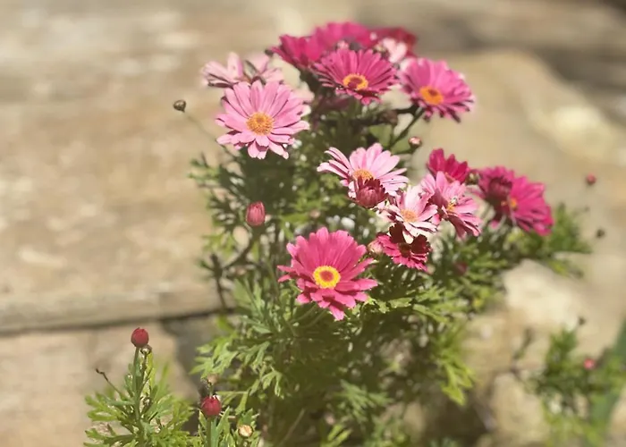 Droushia Corner House