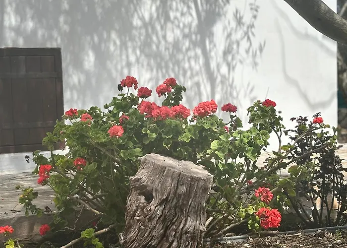 Droushia Corner House