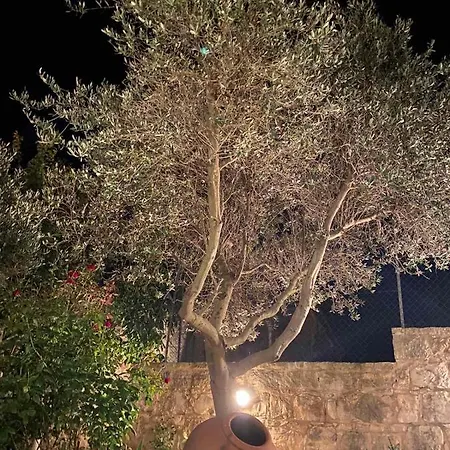 Droushia Corner House Holiday home *