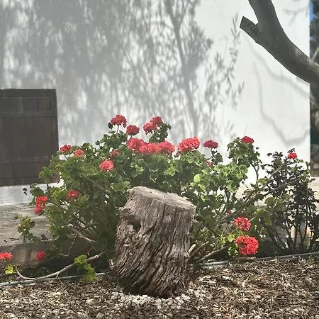 Droushia Corner House