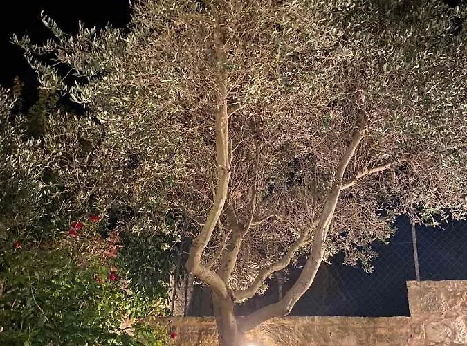 Droushia Corner House Semesterbostad *